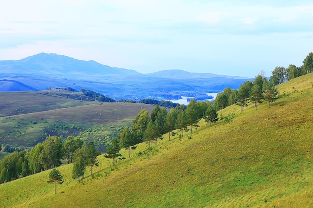 lato krajobraz w lesie tło panorama natura lato sezon krajobraz drzewa