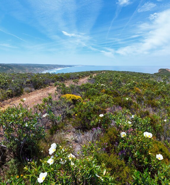 Lato kwitnących widok na wybrzeże Atlantyku, zachód Algarve, Costa Vicentina, Portugalia. Dwa ujęcia ściegu obrazu.