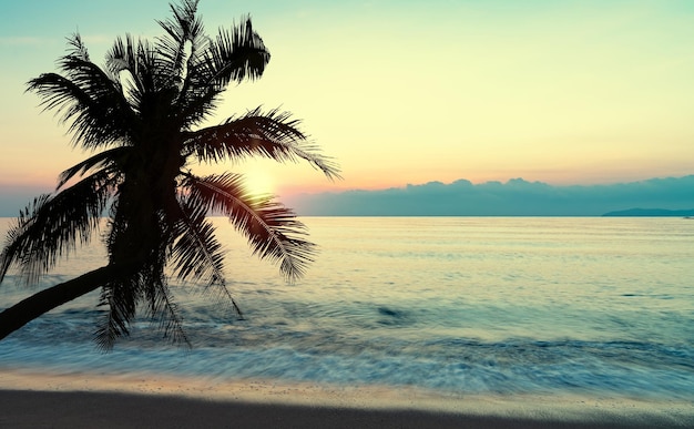 lato morze z palmą o zachodzie słońca i kopiować przestrzeń niebieski relaksujący koncept piękne tropikalne tło dla podróży krajobraz