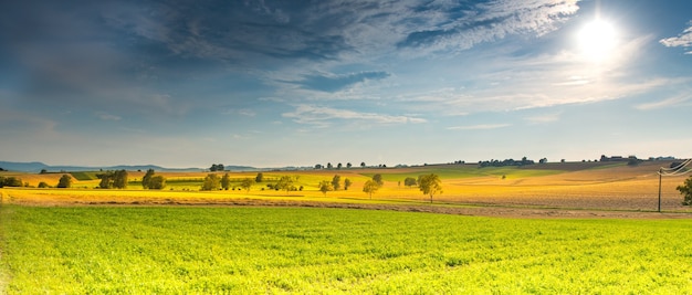 Lato na łąkach