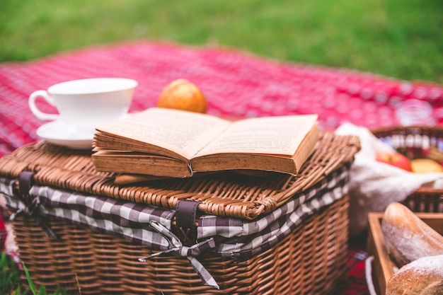 Lato piknik z książką i jedzeniem na łozinowym koszu w parku.
