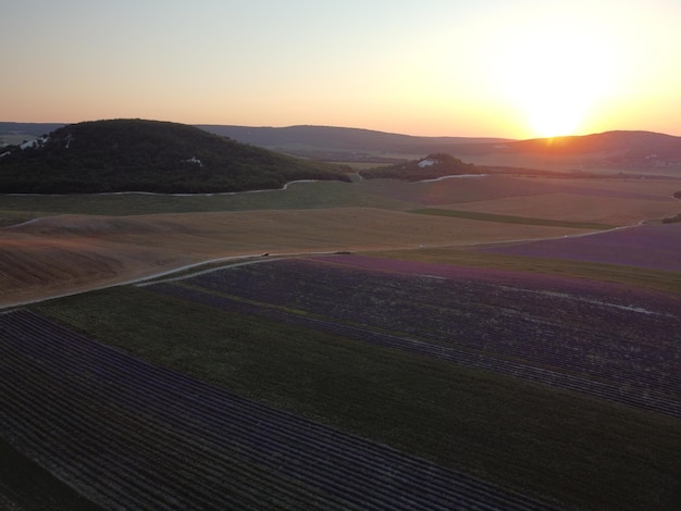 Lawendowe pola pachnące w niekończących się rzędach z kwitnącymi kwiatami widok z lotu ptaka drone fioletowe pole na tle błękitnego nieba letnie słońce zachód słońca Pole produkcji olejku lawendowego z rzędami lawendy Aromaterapia Relaks