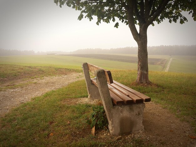 Zdjęcie Ławka na polu przy drzewach na tle nieba