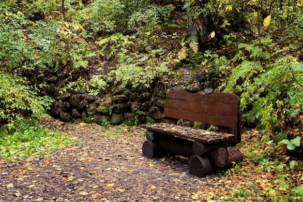 Ławka na szlaku dla relaksu Ecotrail Komarovsky Bereg Sankt Petersburg Rosja