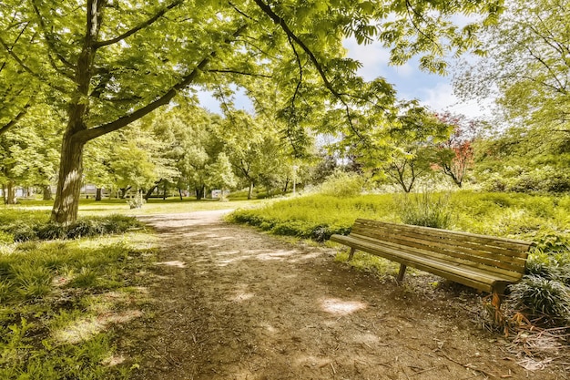 Zdjęcie Ławka pośrodku parku z drzewami i zieloną trawą po obu stronach prowadzącej do niej ścieżki