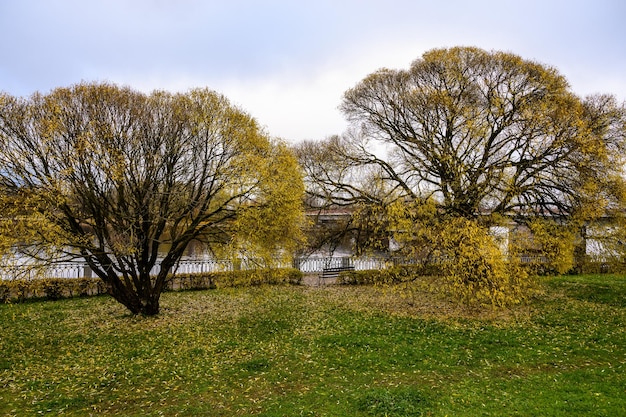 Ławka w jesiennym parku piękny jesienny park