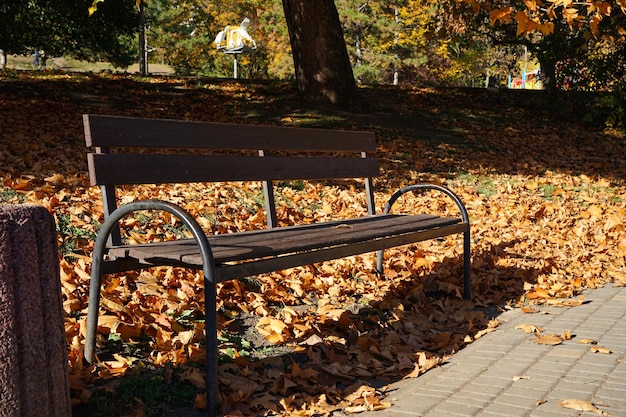 Ławka w parku jesienią opadłych liści w słoneczny dzień