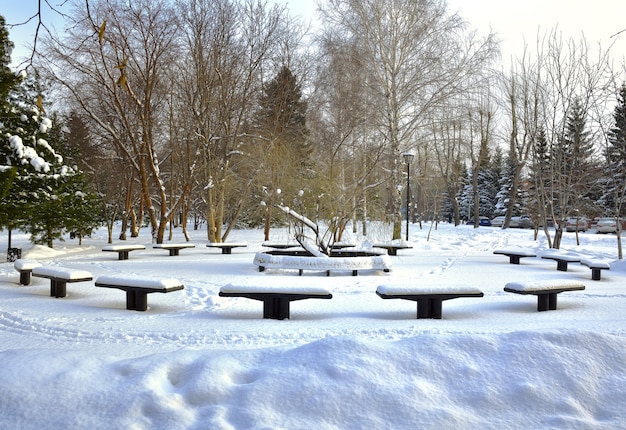 Ławki zimą Park Memorial Wierzba płacząca wśród zasp w Parku Glory