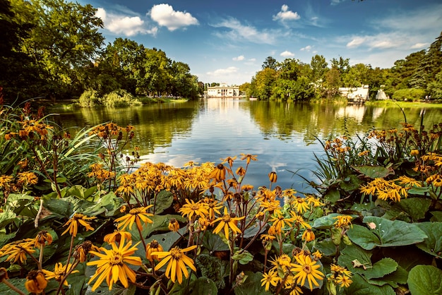 Łazienki - Park Łazienki lub Łazienki Królewskie również oddane Łazienki Królewskie to największy park w Warszawie, Polska. Piękne jezioro z kwiatami rudbekii.