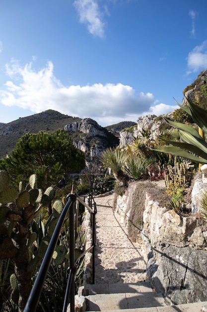 Le Jardin Exotique Eze Village Nicea Francja