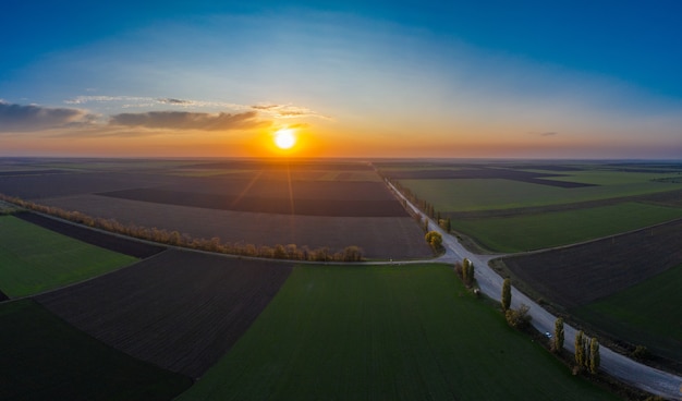 Lecąc nad polem uprawy pszenicy