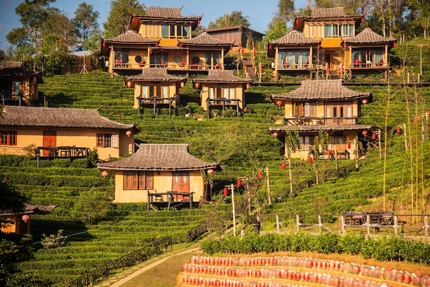 Lee Wine Ruk Thai Yunnan Dom z gliny w chińskim stylu pośród plantacji herbaty i zimnej pogody w górach Mae Hong Son u wybrzeży Tajlandii