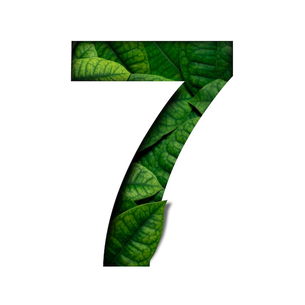 Zdjęcie lefas numer 7 wykonany z prawdziwych żywych liści z wyciętym z papieru szlachetnym kształtem liczby. czcionka leafs.
