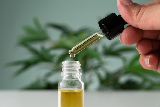 Legalizowane liście konopi cannabis sativa i pojemnik z olejem CBD z pokrywą kroplową