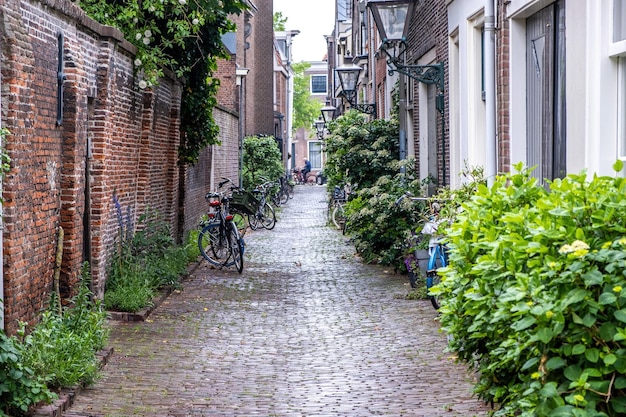 Leiden Holandia ceglany mur budynek latarnia brukowiec ścieżka zaparkowany rower zielone rośliny