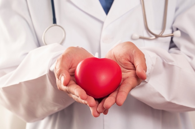 Lekarz trzymając serce w ręku, koncepcja leczenia chorób serca