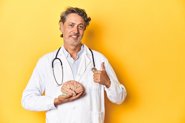 Lekarz trzymający model mózgu żółte tło studio uśmiechający się i podnoszący kciuk do góry