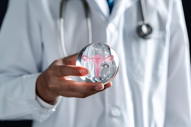 Zdjęcie lekarz w białym płaszczu trzymający wirtualną macicę układ reprodukcyjny zdrowie kobiety pcos jajniki ginekologiczne i rak szyjki macicy zdrowa kobieca koncepcja
