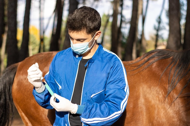 Lekarz weterynarii przygotowujący zastrzyk do zaszczepienia chorego brązowego konia, poziome brązowe tło konia