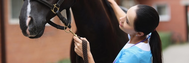 Lekarz weterynarii zapewnia opiekę medyczną koncepcji usług weterynaryjnych dla młodych koni