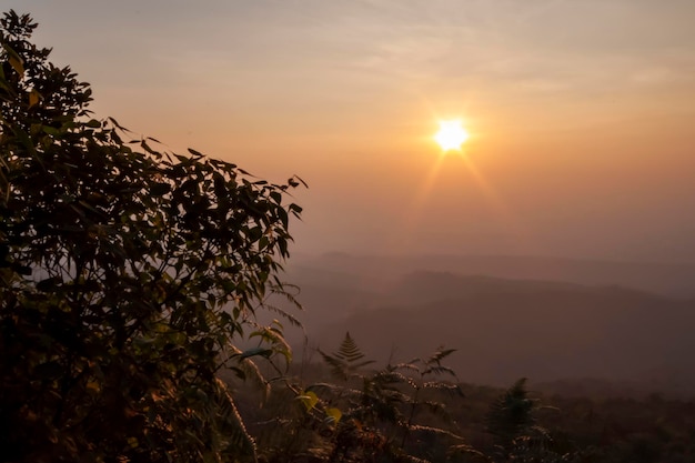 Lekki zachód słońca na górze w parku narodowym w tajlandii