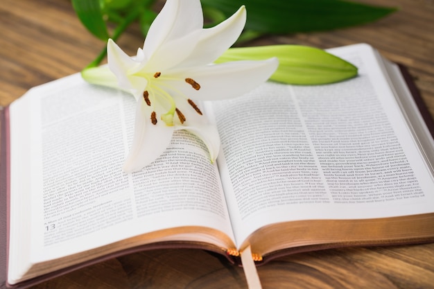Leluja kwiat odpoczywa na otwartej biblii