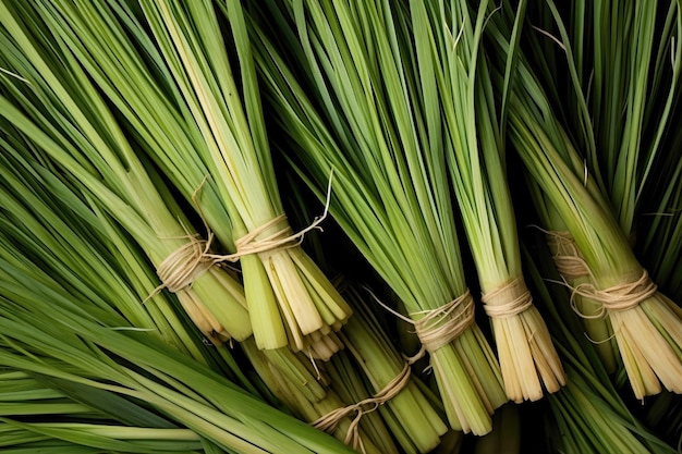 Lemongrass jako tło