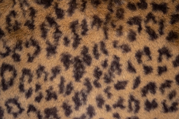 Leopard zwierząt wydruku płótnie futro tekstury lub tła