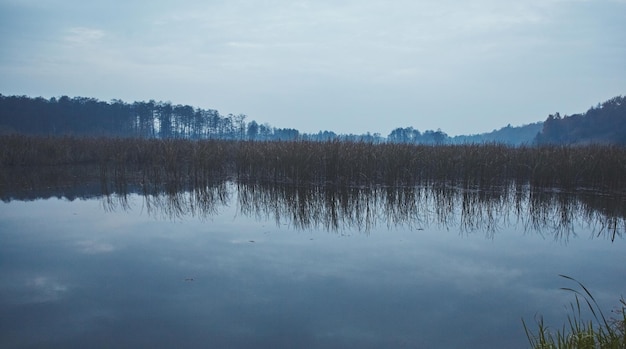 Leśne jezioro pod błękitnym pochmurnym niebem