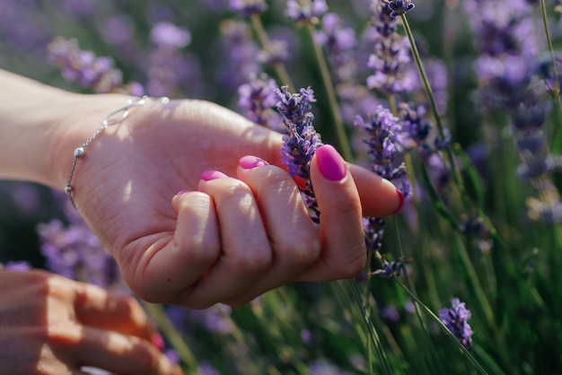 letni dotyk. różowy manicure w lawendowym polu.