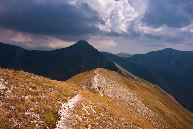 Letni krajobraz górski piękna przyroda we Włoszech