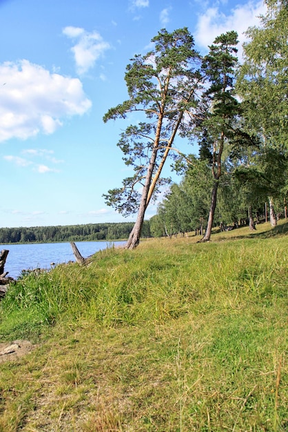 Letni krajobraz Uralskie góry rzeka
