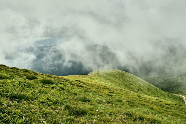 Letni Krajobraz W Karpatach Z Zachmurzonym Niebem. Karpaty, Ukraina, Europa.