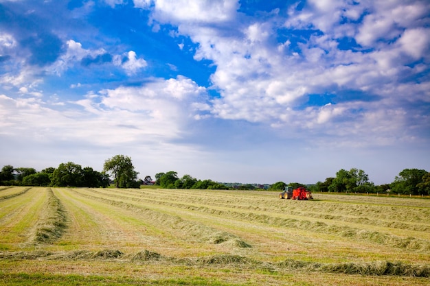 Letni krajobraz wiejski z ciągnikiem zbierającym siana na polu Południowa Anglia Wielka Brytania