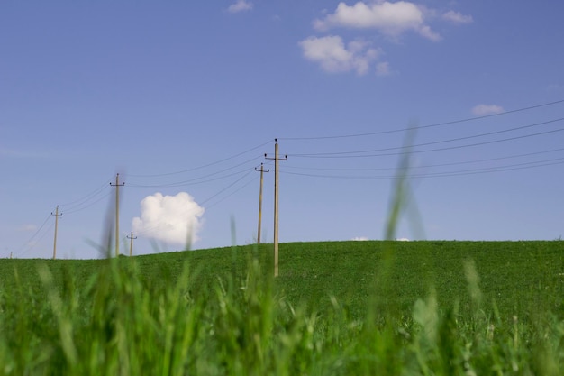 letni krajobraz z błękitnym niebem i liniami energetycznymi w polu