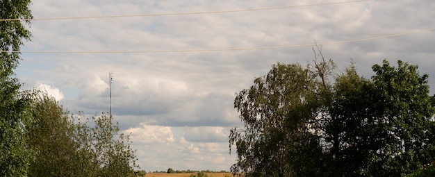 Letni krajobraz z rosyjską wioską region wołogdy