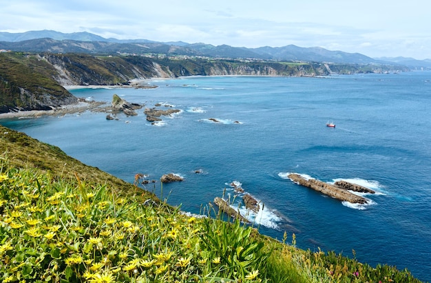 Letni Kwitnący Krajobraz Cape Vidio (wybrzeże Asturii, Cudillero, Hiszpania).