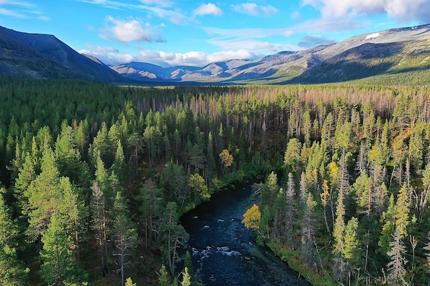 letni las widok z góry dron, tło zielone drzewa panorama krajobraz