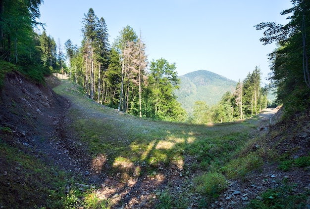 Letni mglisty górski krajobraz z lasem na zboczu i wiejskiej drodze.