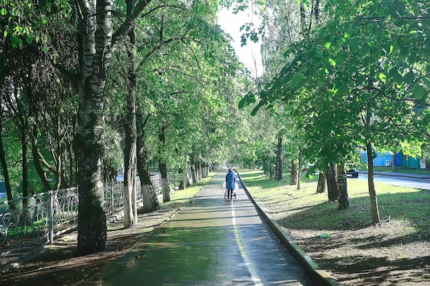 letni park krajobrazowy, zielone drzewa i chodnik w letnim parku miejskim