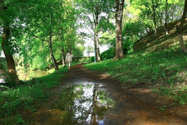 letni park krajobrazowy, zielone drzewa i chodnik w letnim parku miejskim