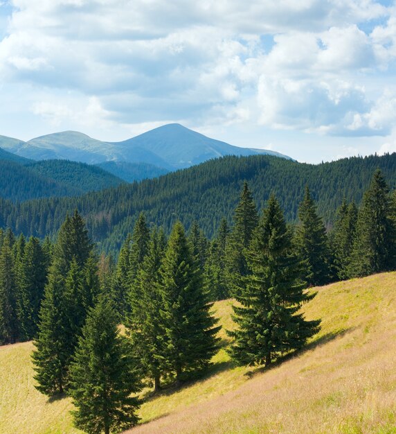 Letni Pochmurny Krajobraz Górski, Karpaty, Ukraina.