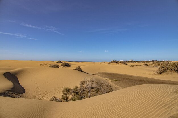 Letni pustynny krajobraz w ciepły słoneczny dzień z wydm Maspalomas na hiszpańskiej wyspie Gran Canaria