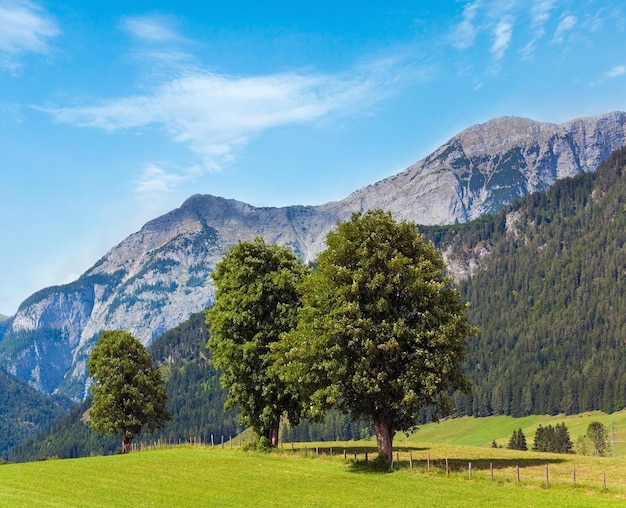 Letni widok na Alpy