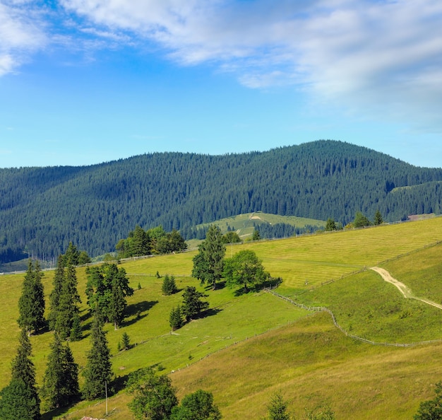 Letni widok na góry Karpacka Ukraina