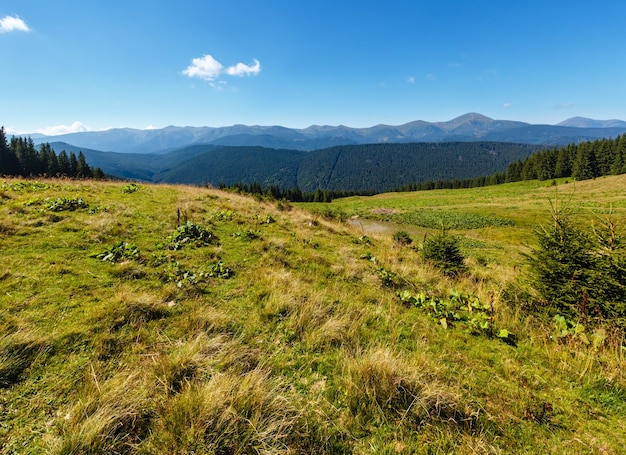 Zdjęcie letni widok na grzbiet czarnohory z płaskowyżu vesnjarka (karpaty, ukraina).