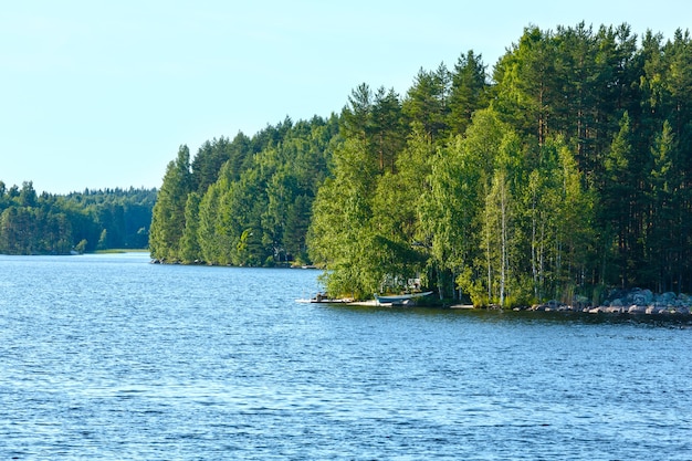 Letni widok na jezioro z lasem na skraju