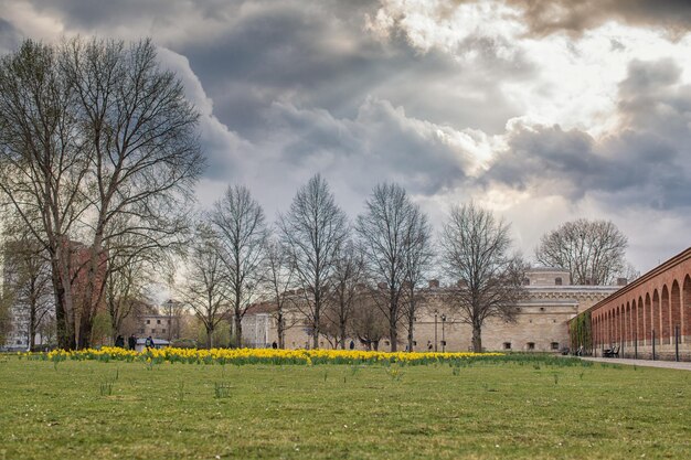 Letni widok na park Ingolstadt