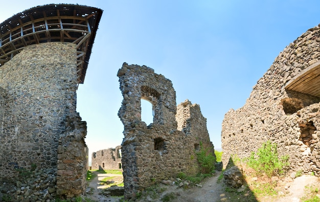 Letni widok na ruiny zamku Newytsky (wieś Kamyanitsa, 12 km na północ od Użhorod, obwód zakarpacki, Ukraina). Zbudowany w XIII wieku. Cztery ujęcia zszywania obrazu przy użyciu obiektywu szerokokątnego.