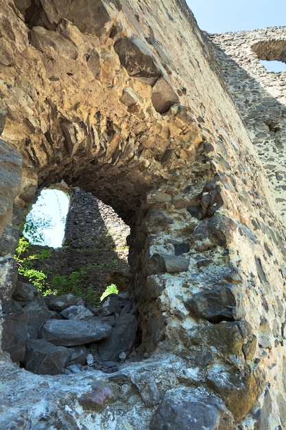 Letni widok na ruiny zamku Newytsky (wieś Kamyanitsa, 12 km na północ od Użhorod, obwód zakarpacki, Ukraina). Zbudowany w XIII wieku.